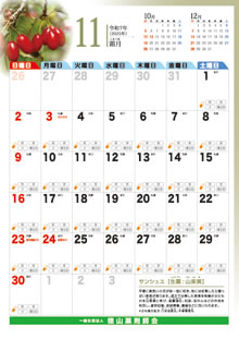 11月