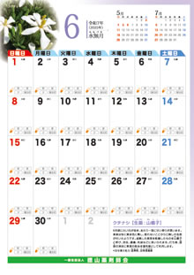 6月