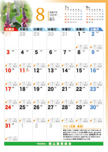 8月